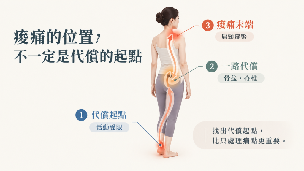 痠痛的位置,不一定是代償的起點 身體代償示意圖|痠痛位置不一定是代償起點